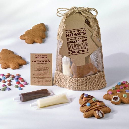GINGERBREAD DECORATING KIT-[best_gifts_for_kids]-[thoughtful_gifts_for_kids]-[christmas_gifts_for_kids]-Seventeen Minutes